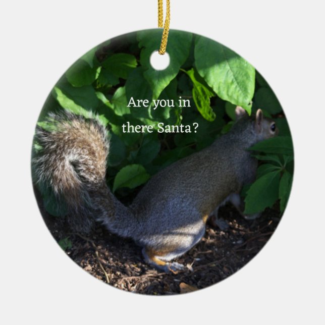 Squirrel Ornament (Framsidan)