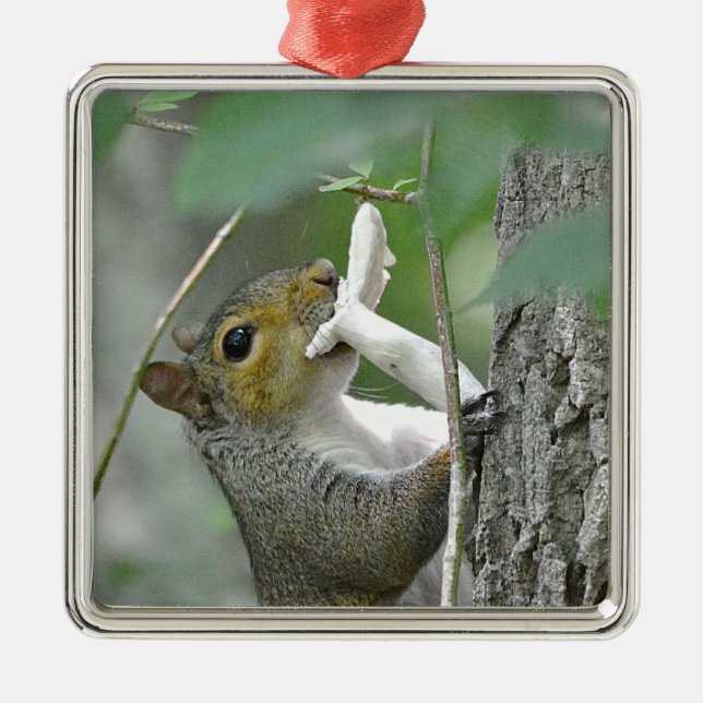 Squirrel Ornament (Framsidan)