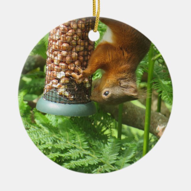 Squirrel Ornament, inte bara för jul! Julgransprydnad Keramik (Framsidan)