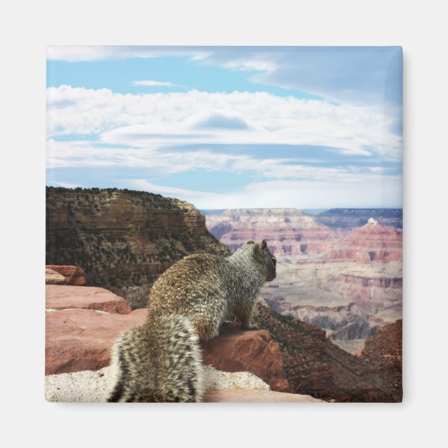 Squirrel Overlook Grand Canyon, Arizona Magnet (Framsidan)