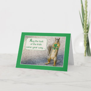 Squirrel på st. Patrick's Day, Holding Shamrock Kort