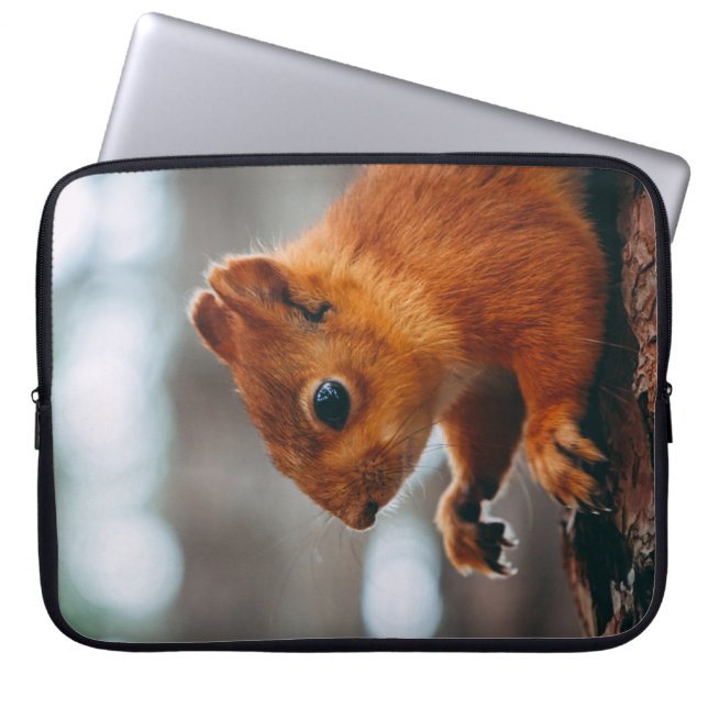 SQUIRREL PÅ TRÄD TRUNK LAPTOP FODRAL (Framsidan)