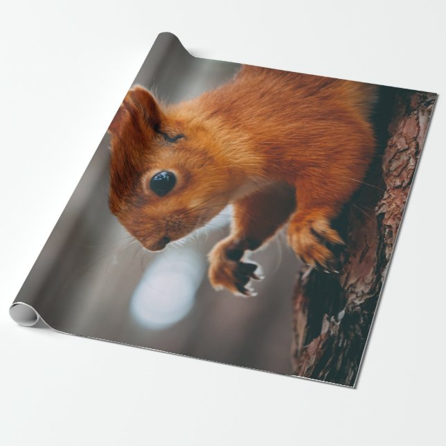 SQUIRREL PÅ TRÄD TRUNK PRESENTPAPPER (Utrullad)