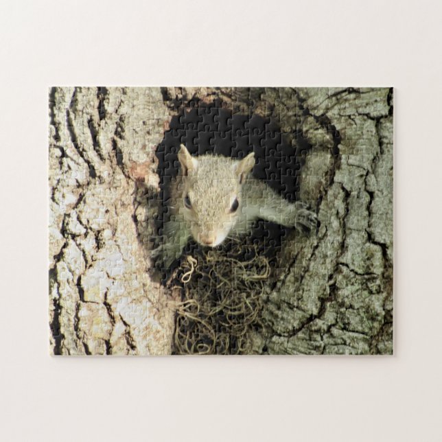 Squirrel Peeking ut ur hennes Nest Puzzle Pussel (Horisontell)