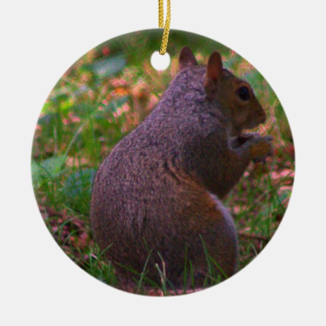 Squirrel Photo jul Ornament (Framsidan)