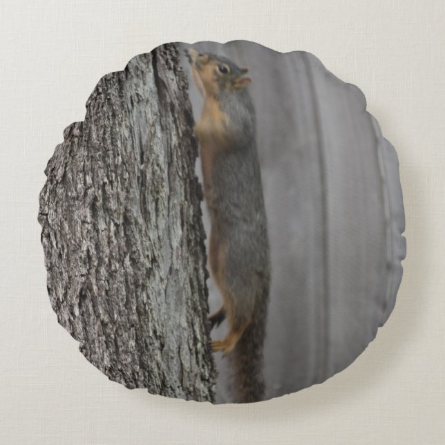 Squirrel Pillow Rund Kudde (Framsidan)
