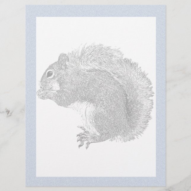 Squirrel Plain (Framsida)