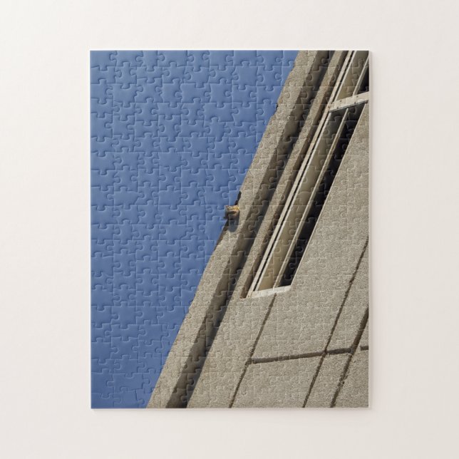 Squirrel Puzzle Pussel (Vertikal)