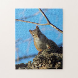 Squirrel Puzzle Pussel