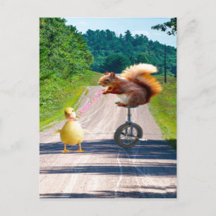 Squirrel Riding Unicle Walking Anka Vykort