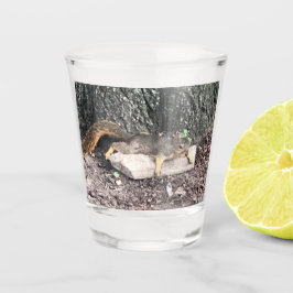 Squirrel Shot Glass