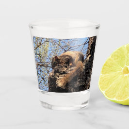 Squirrel Shot Glass