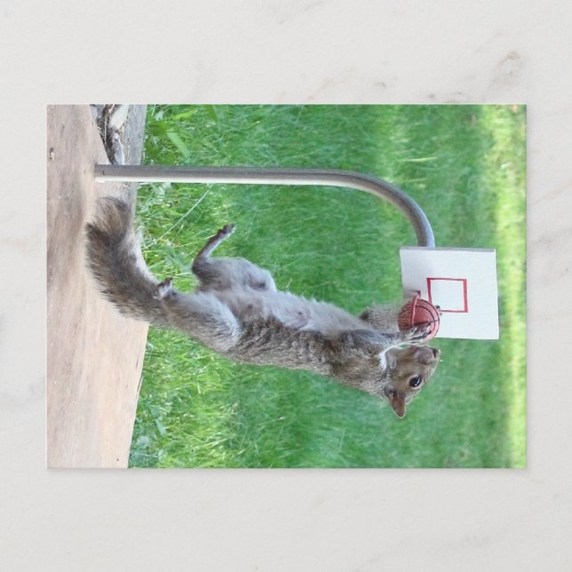 Squirrel Slam dunk Vykort (Framsida)