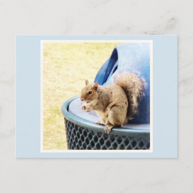 Squirrel Snack-vykort Helg Vykort (Framsida)