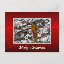 Squirrel Snö Berry Träd Photo-jul