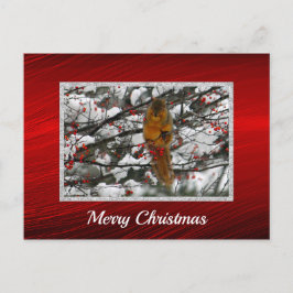 Squirrel Snö Berry Träd Photo-jul Vykort