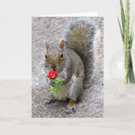 Squirrel som håller ett Röd ros Valentinkort Helgkort