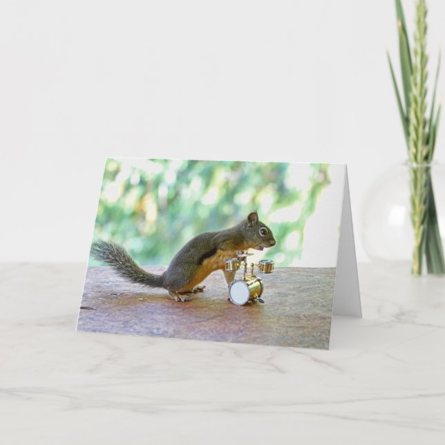 Squirrel Spelar Drums Kort (Framsida)