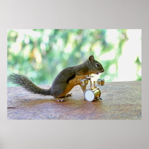 Squirrel Spelar Drums Poster