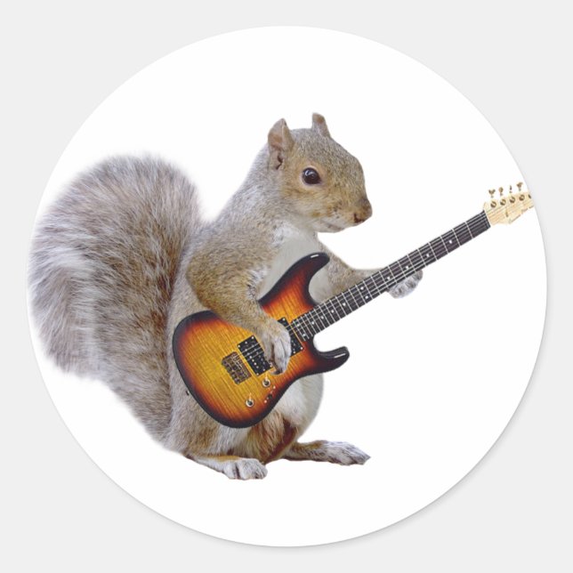 Squirrel Speling Guitar Runt Klistermärke (Framsida)