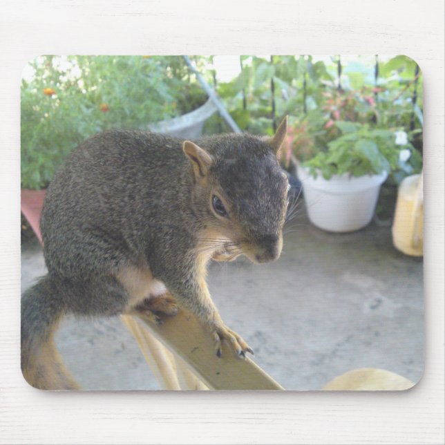 Squirrel Stäng Mousepad Musmatta (Framsidan)