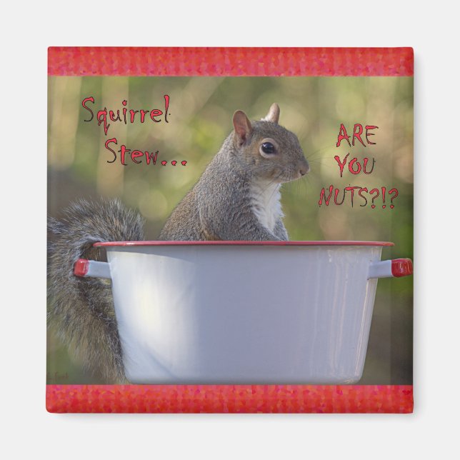 Squirrel Stew... ÄR DU NÖT? Magnet (Framsidan)