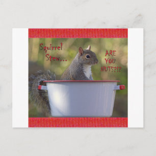 Squirrel Stew... ÄR DU NÖT? Vykort