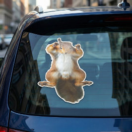 Squirrel Sticker Klistermärken