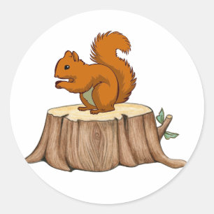 Squirrel Sticker Runt Klistermärke