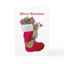 Squirrel Stock-julkort