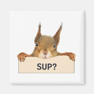 Squirrel SUP? Anpassningsbar Magnet