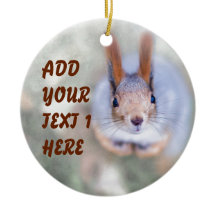 Squirrel tittar på dig från grund uppåt