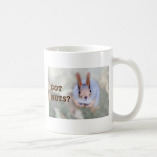 Squirrel tittar på dig från grund uppåt kaffemugg