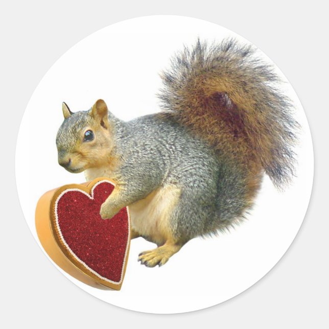 Squirrel Valentine Runt Klistermärke (Framsida)