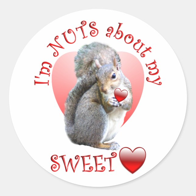 Squirrel Valentine Runt Klistermärke (Framsida)