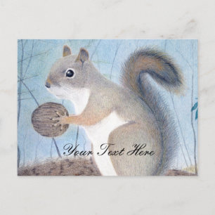 Squirrel Vykort