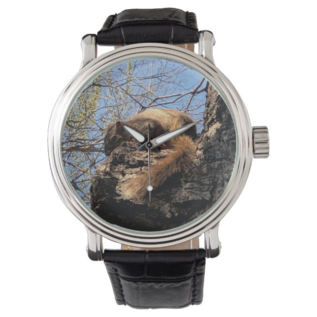 Squirrel Watch Armbandsur (Framsida)