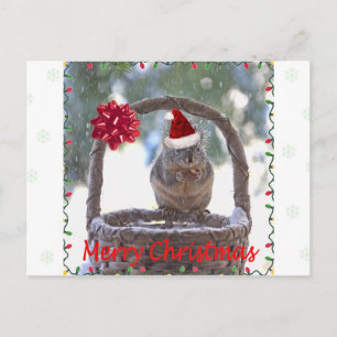 Squirrel Wearing Santa Hat Helg Vykort