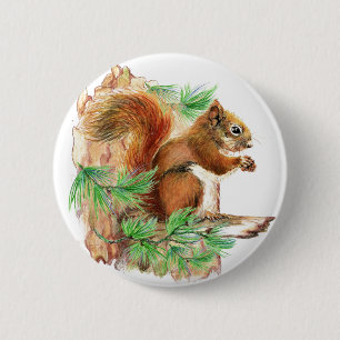 Squirrel Wildlife Button Knapp