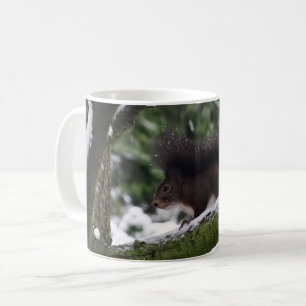 Squirrel Winter Photo Classic Mugg