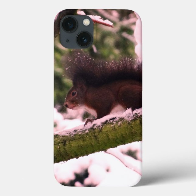Squirrel Winter Photo iPhone 6/6s, Tuff Xtreme (Baksida)