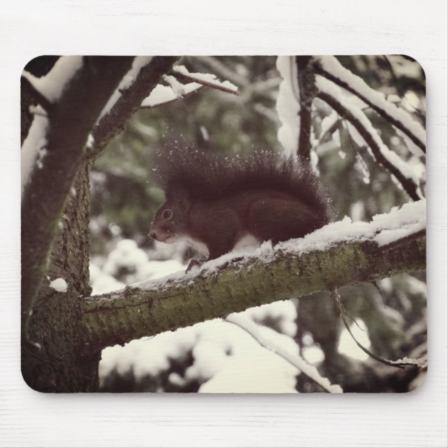 Squirrel Winter Photo Mousepad Musmatta (Framsidan)
