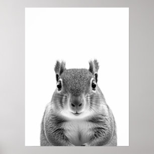 Squirrel Woodland Modern Porträtt svartvit Poster