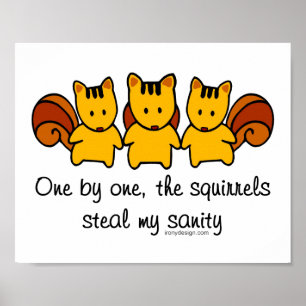 Squirrelerna stjäl min sanitet poster
