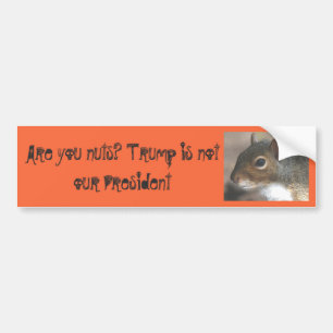 Squirrelly är dig som är tokig! Trumf är inte v Bildekal