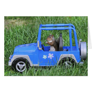 Squirrelly Driver. Hälsningskort