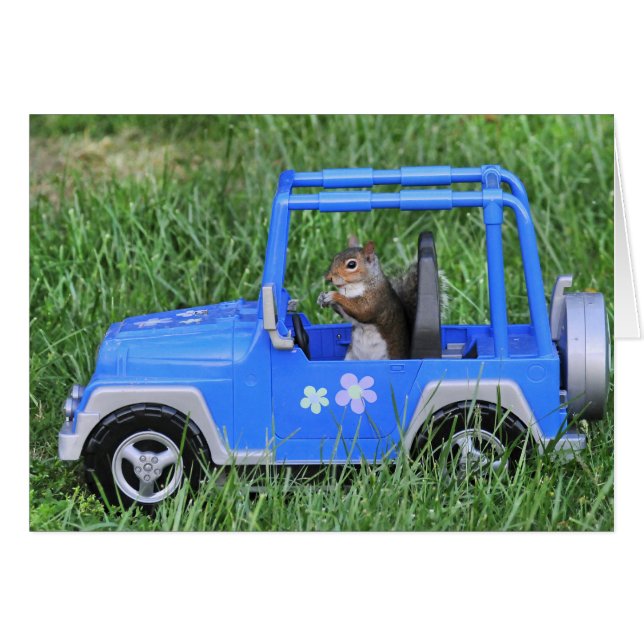 Squirrelly Driver. Hälsningskort (Framsidan Horizontal)