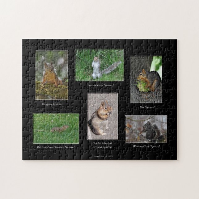 Squirrels! Pussel (Horisontell)