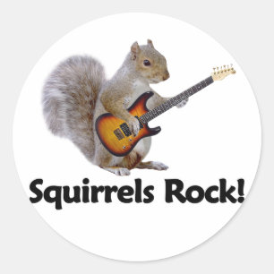 Squirrels Sten! Runt Klistermärke