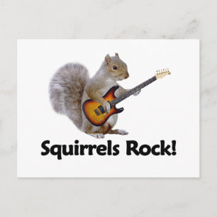 Squirrels Sten! Vykort